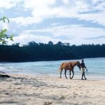 Winnifred Beach - JN Bank
